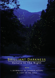 Brilliant Darkness - 