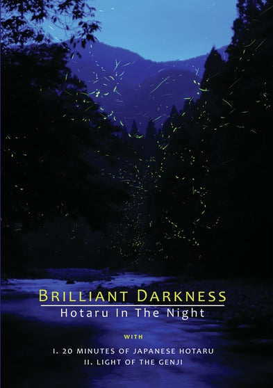 Brilliant Darkness - 