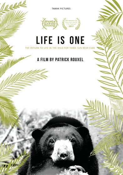 Life is One: The Return to Life in the Wild for 3 Sun Bear Cubs - 