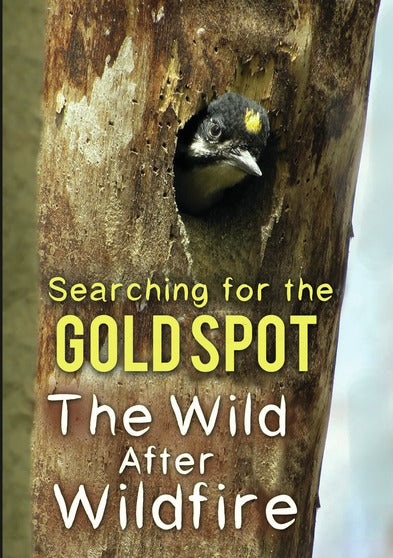 Searching for the Gold Spot - 