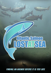 ATLANTIC SALMON - Lost at Sea - 