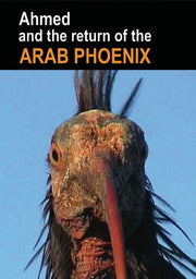 Ahmed and the Return of the Arab Phoenix - 