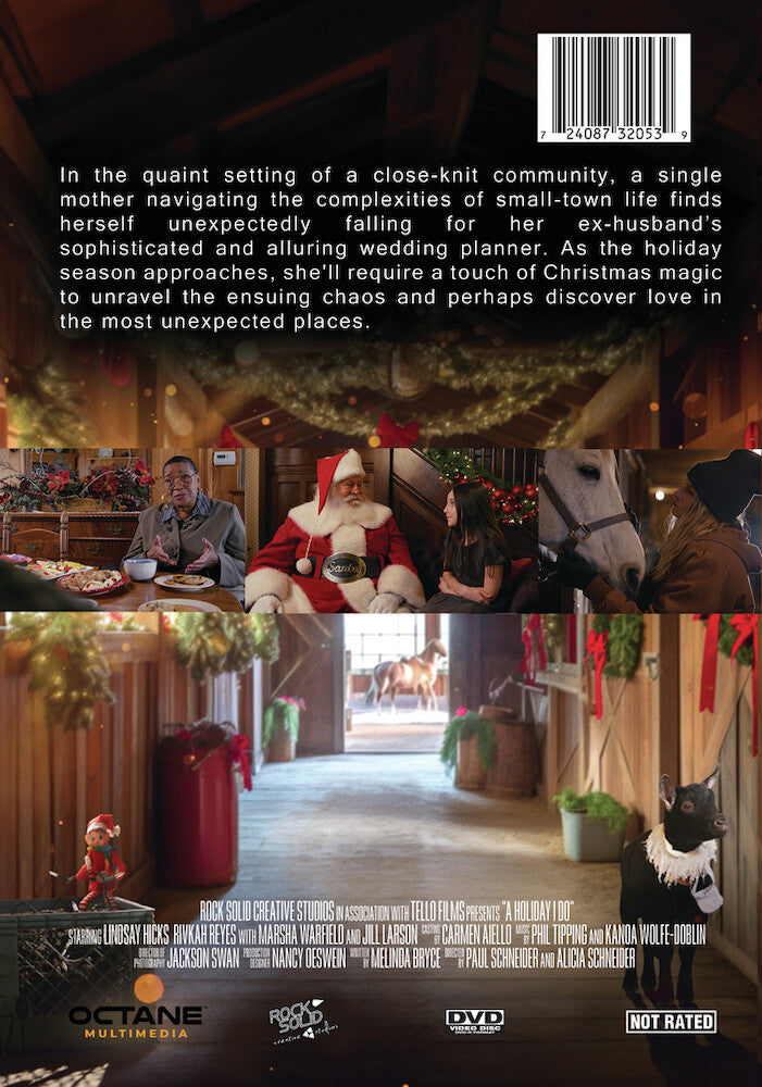 a holiday i do - Back Panel - DVD