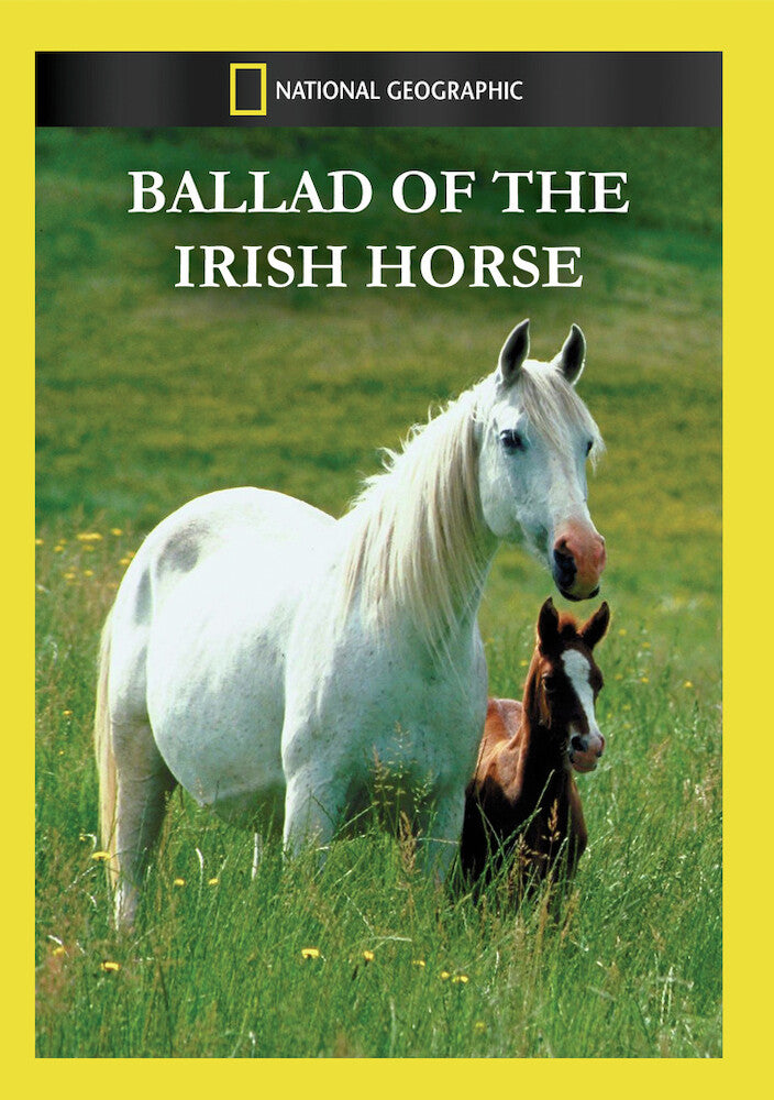ballad of the irish horse - DVD