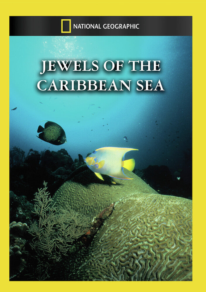 jewels of the caribbean sea - DVD