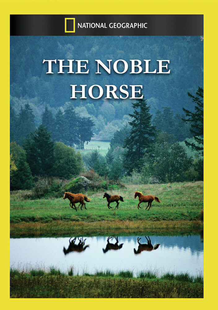 the noble horse - DVD
