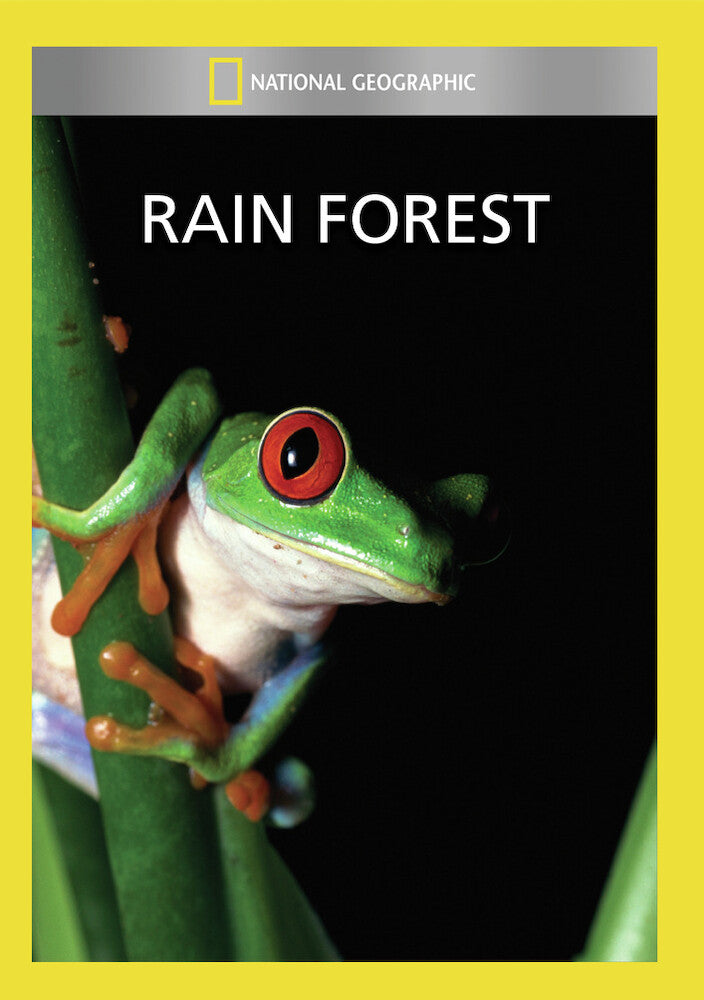 rain forest - DVD