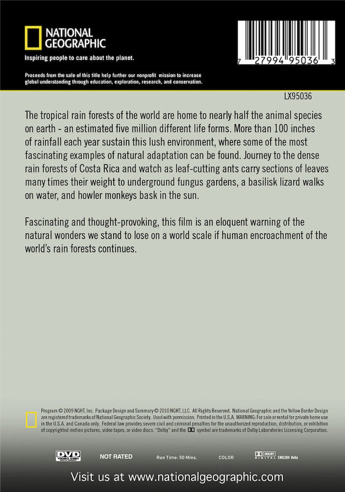 rain forest - Back Panel - DVD
