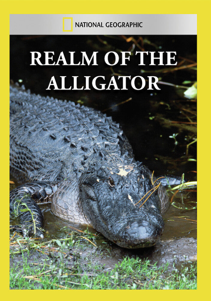 realm of the alligator - DVD