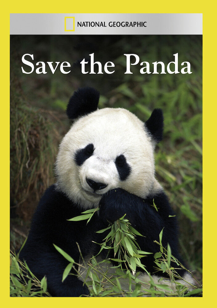 save the panda - DVD