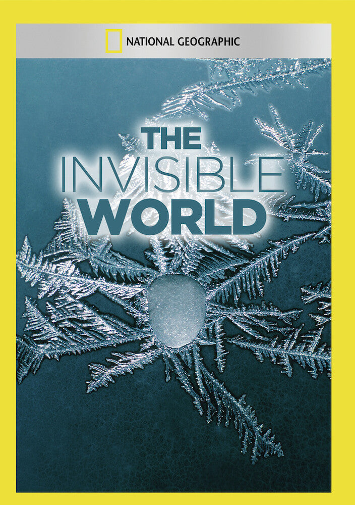 the invisible world - DVD