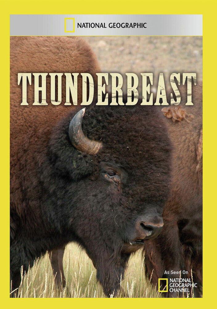 thunderbeast - DVD