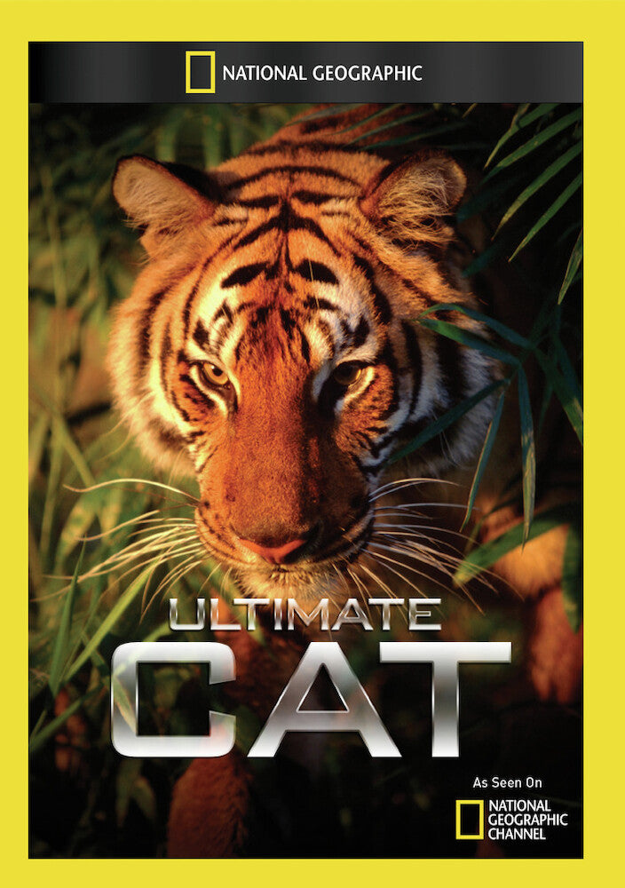 ultimate cat - DVD