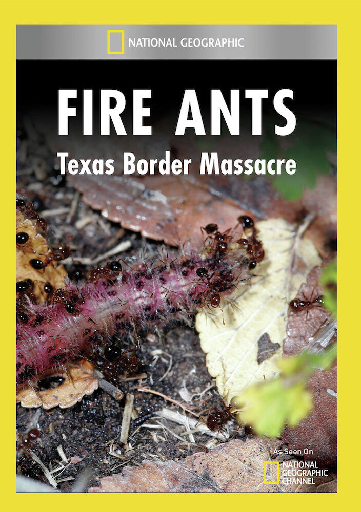 fire ants - texas border mas - DVD