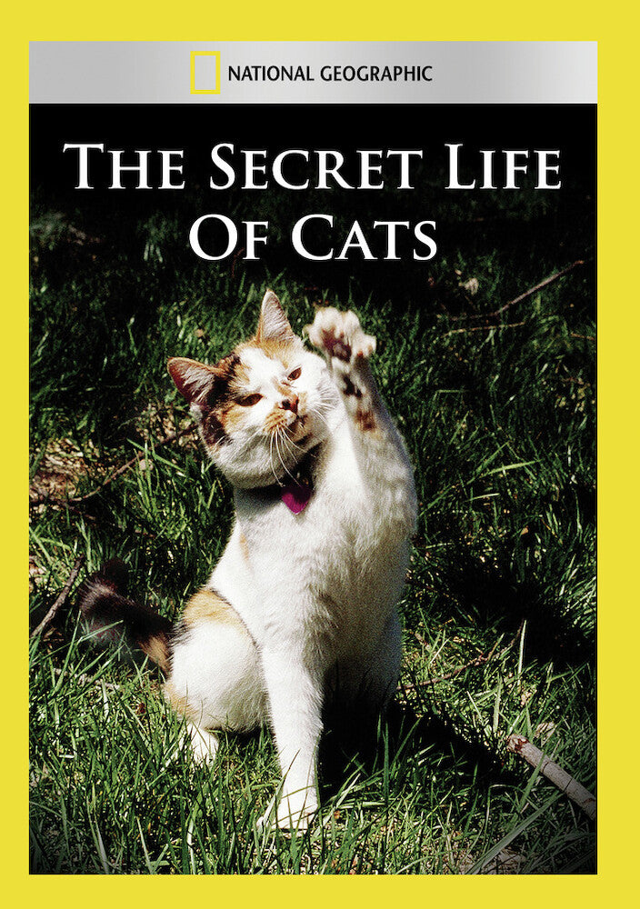 the secret life of cats - DVD