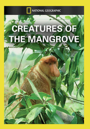 creatures of the mangrove - DVD