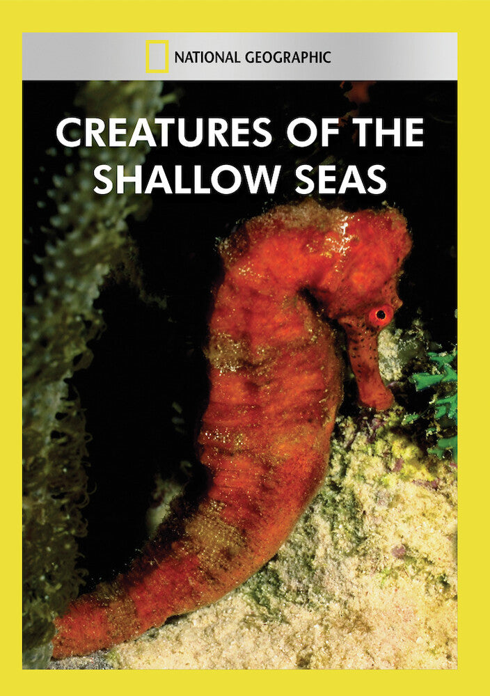 creatures of the shallow seas - DVD
