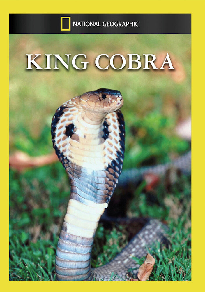 king cobra - DVD