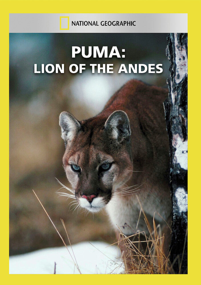 puma: lion of the andes - DVD