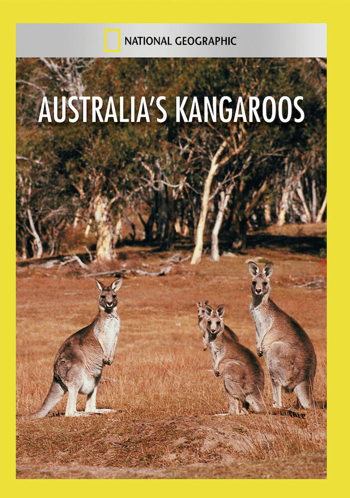 australias kangaroos - DVD