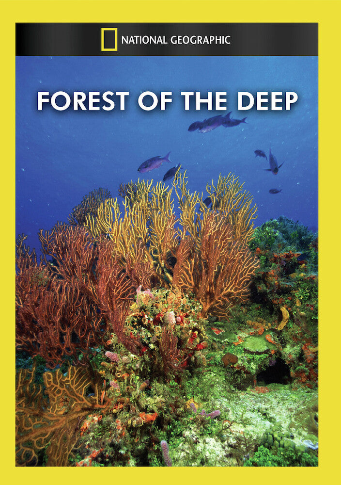 forest of the deep - DVD