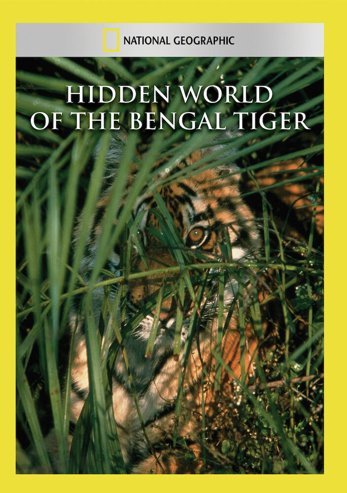 hidden world of the bengal tiger - DVD