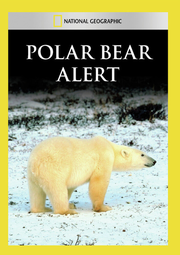polar bear alert - DVD