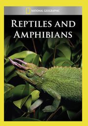 reptiles and amphibians - DVD