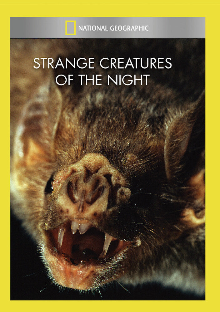 strange creatures of the night - DVD
