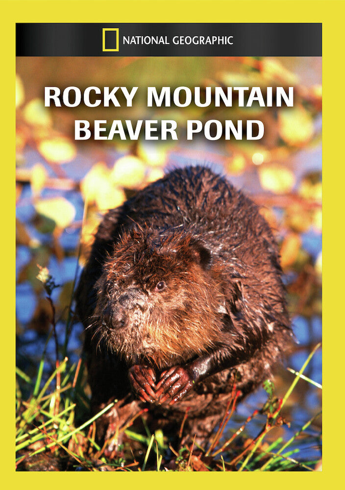 rocky mountain beaver pond - DVD