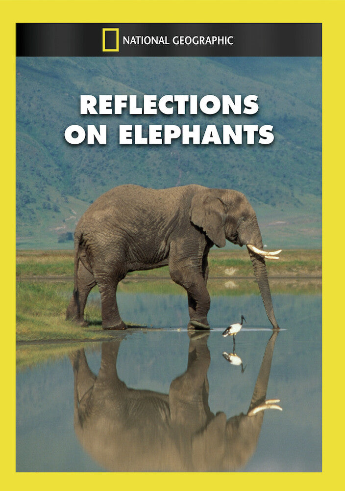 reflections on elephants - DVD
