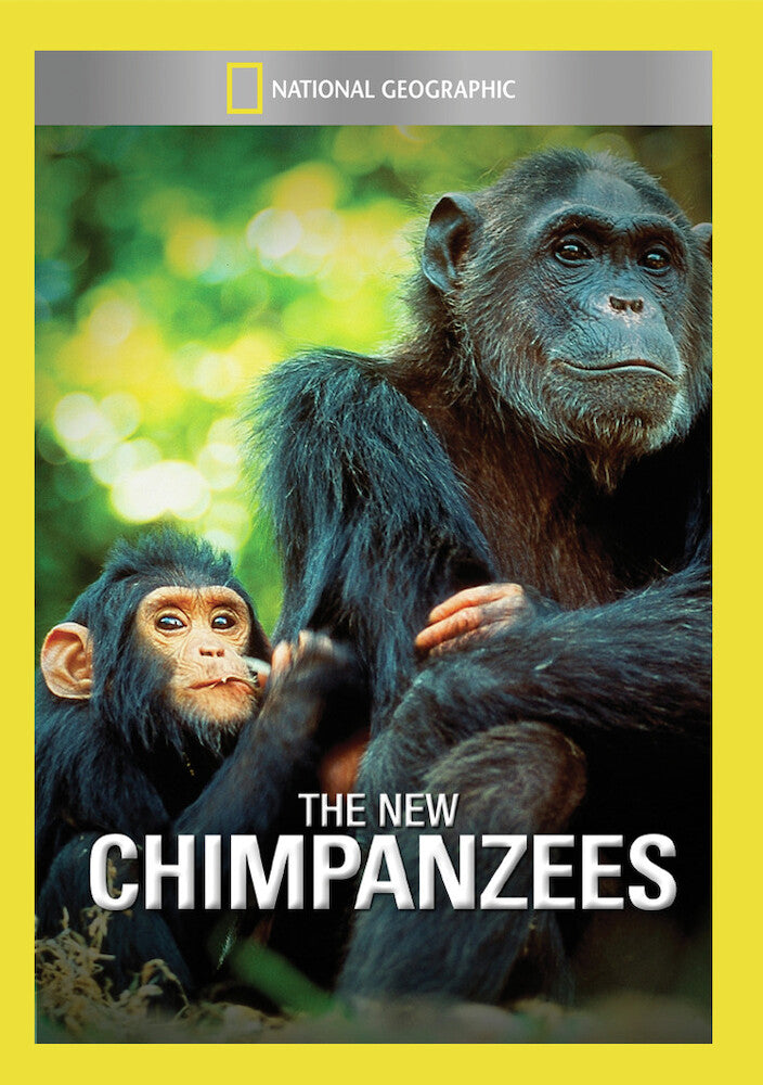 the new chimpanzees - DVD