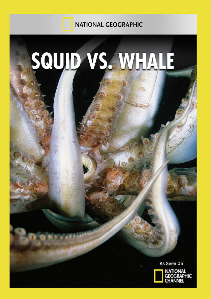 squid vs. whale - DVD