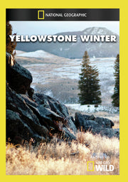 yellowstone winter - DVD