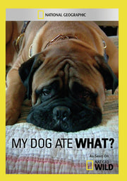 my dog ate what? - DVD