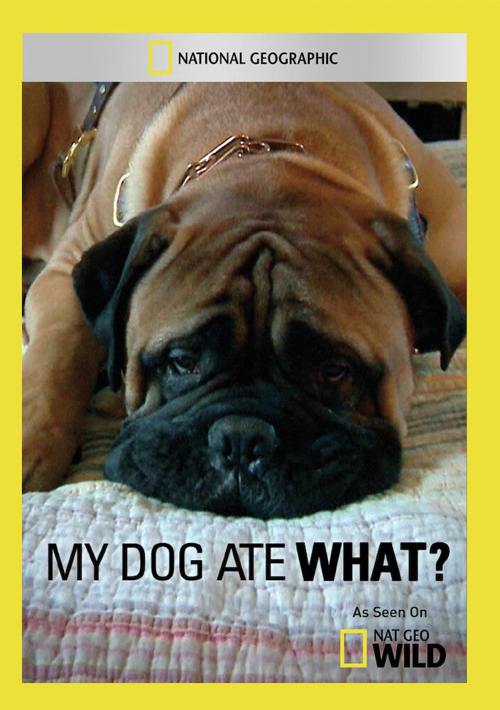my dog ate what? - DVD