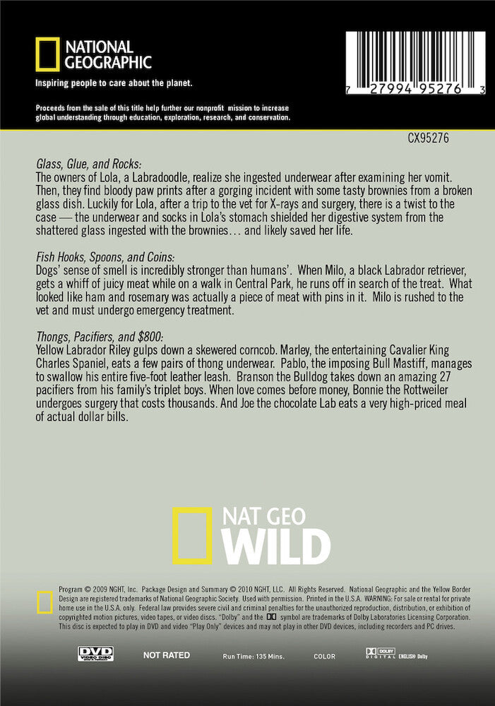 my dog ate what? - Back Panel - DVD