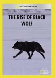 the rise of black wolf - DVD