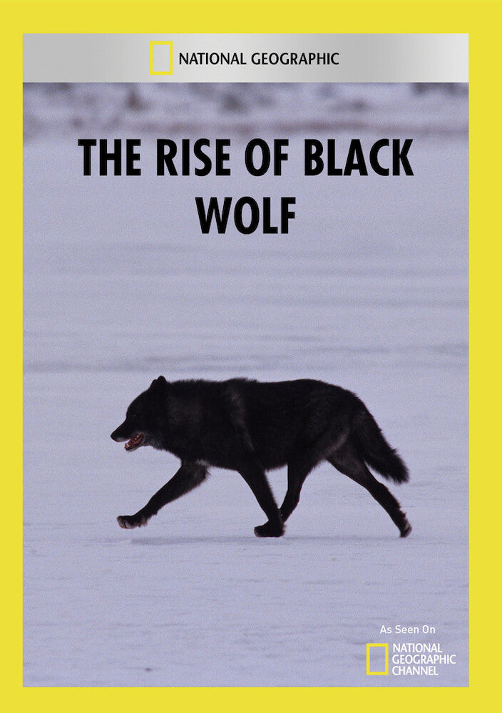 the rise of black wolf - DVD
