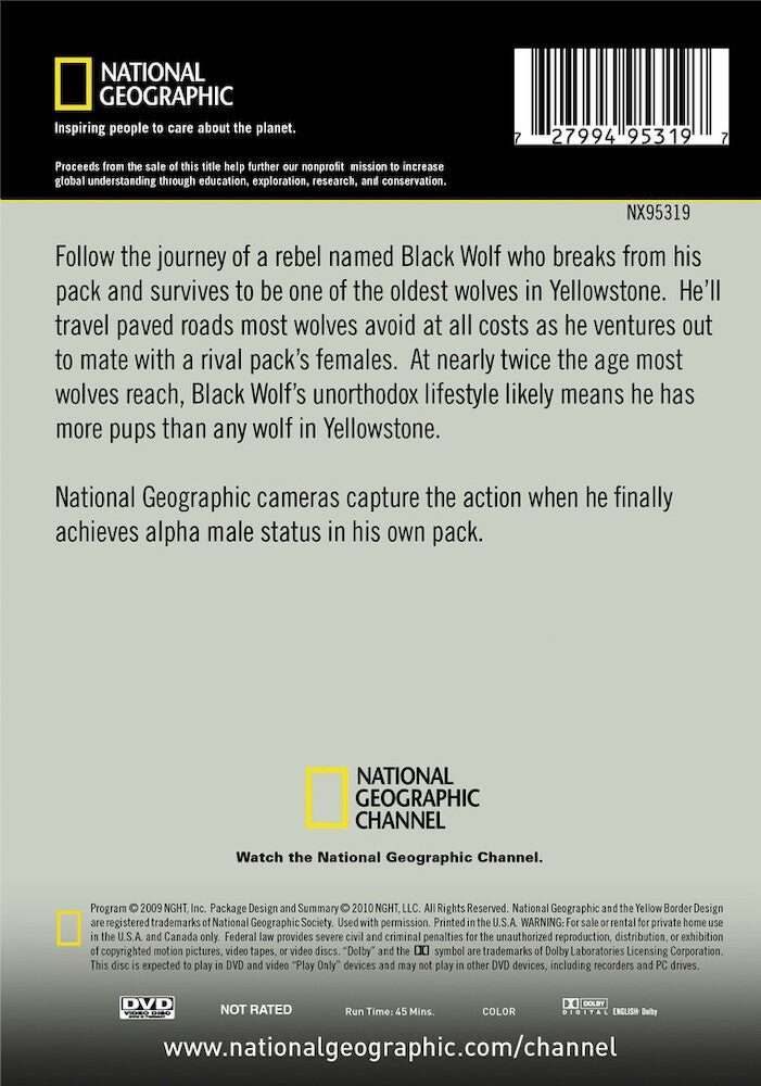 the rise of black wolf - Back Panel - DVD