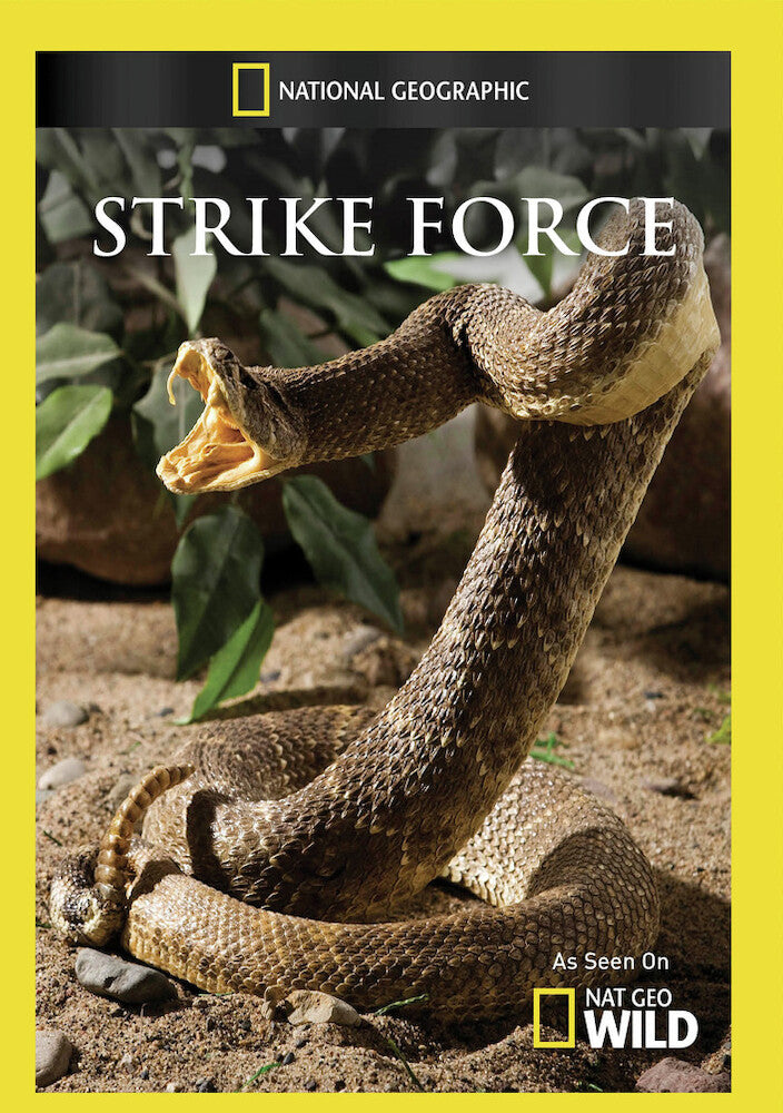 strike force - DVD