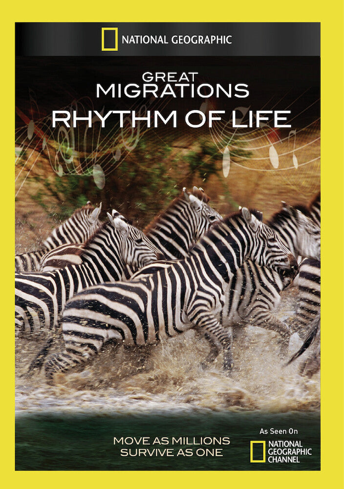 great migrations: rhythm of life - DVD
