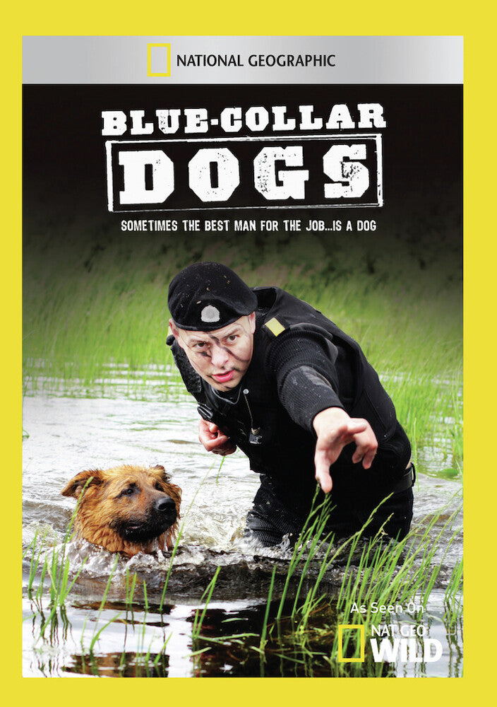 blue collar dogs - DVD