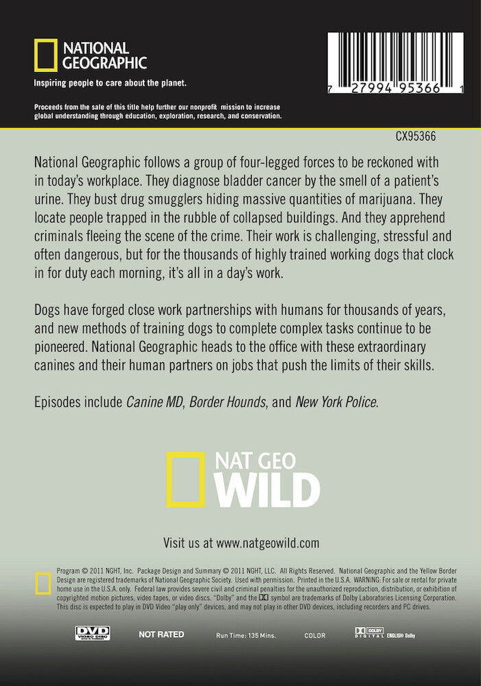 blue collar dogs - Back Panel - DVD