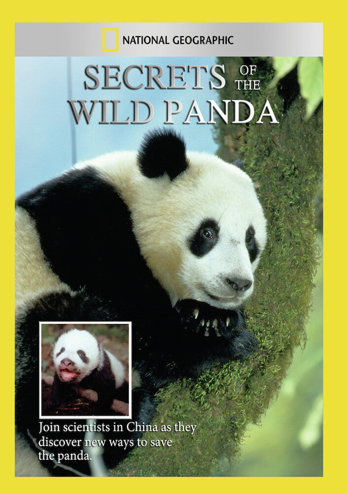 secrets of the wild panda - DVD