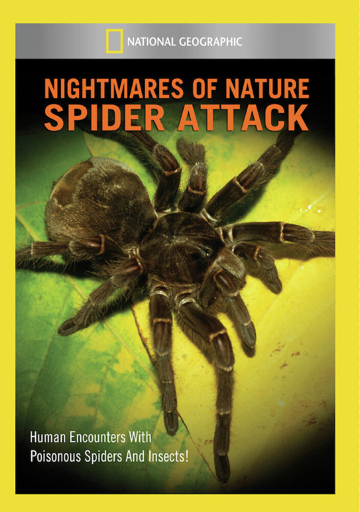 nightmares of nature: spider attack - DVD