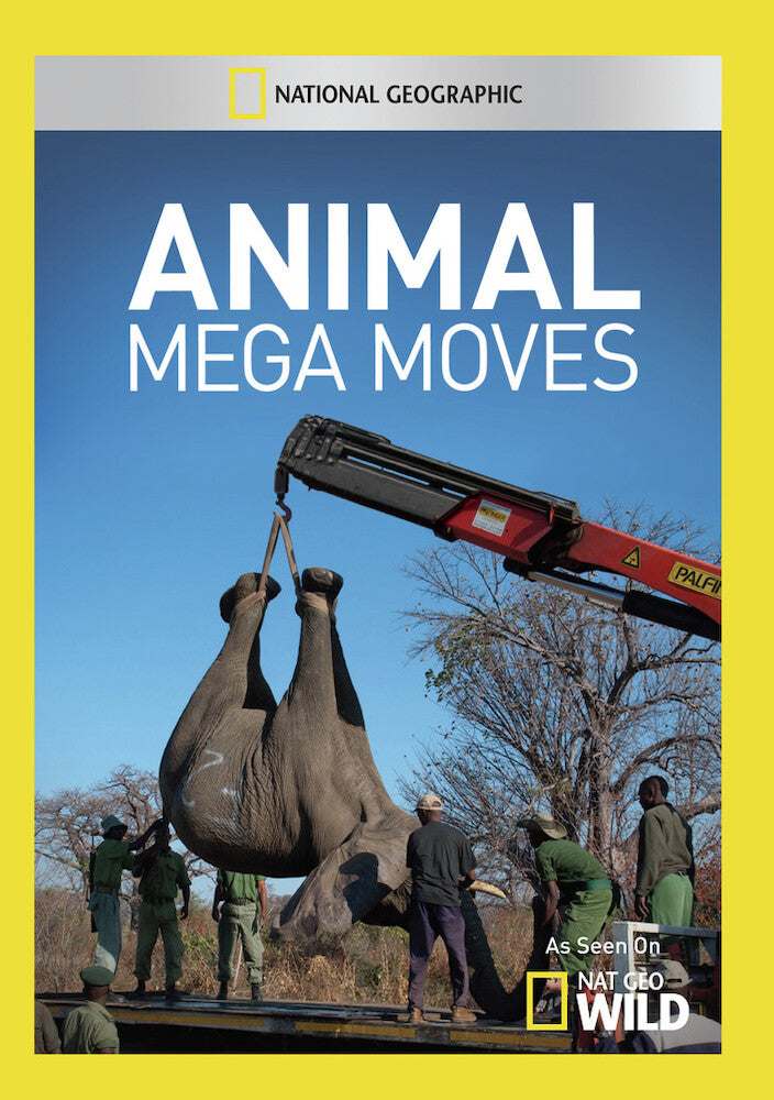 animal mega moves (2 discs) - DVD