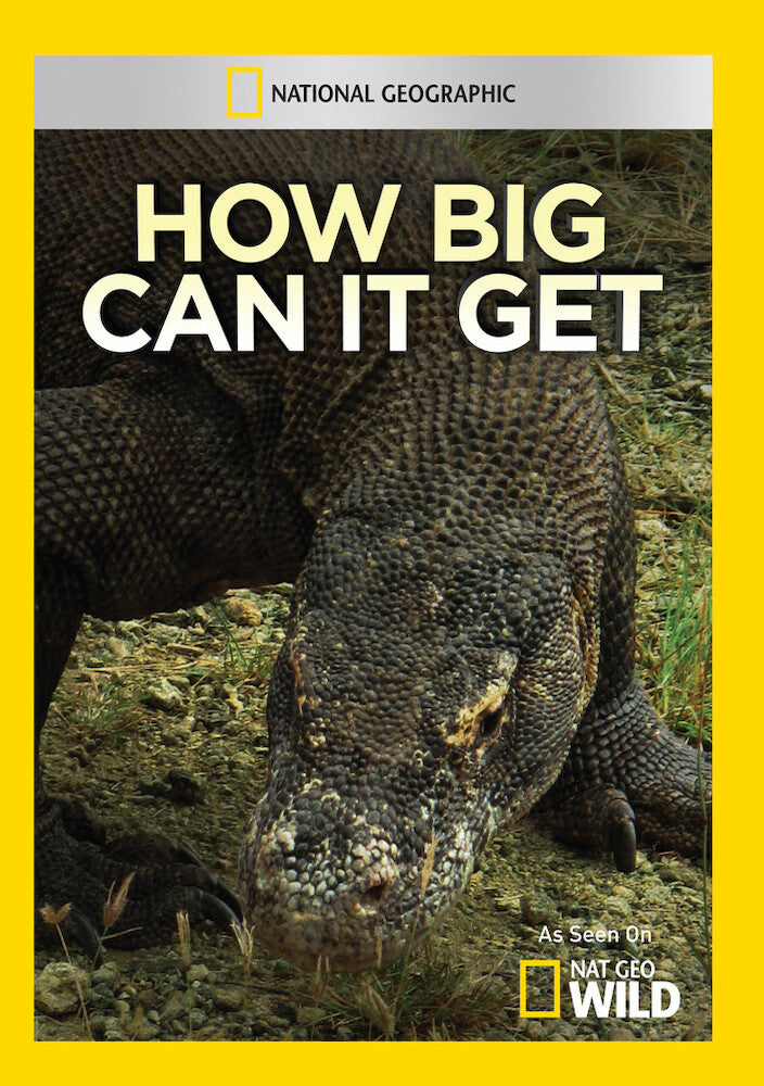 how big can it get - DVD