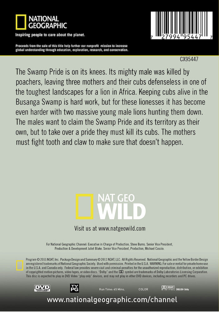 swamp lions - Back Panel - DVD