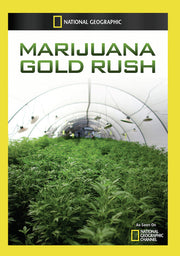 marijuana gold rush - DVD